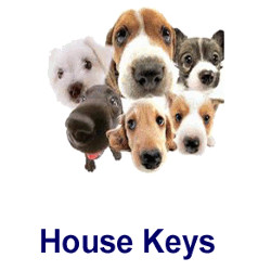 KeysRCool - Buy Dogs House Keys KW & SC1