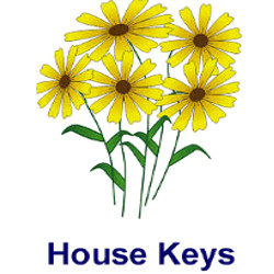 KeysRCool - Buy Flowers House Keys KW & SC1