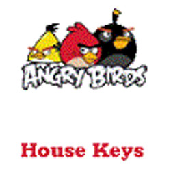 KeysRCool - Buy Angry Bird House Keys KW & SC1