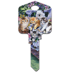 KeysRCool - Buy Kitten Artisan House Keys KW & SC1