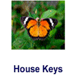 KeysRCool - Buy Butterfly House Keys KW & SC1