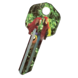 KeysRCool - Buy Parrots Craze House Keys KW1 & SC1