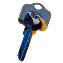 KeysRCool - Buy Parrot Critter House Keys KW & SC1