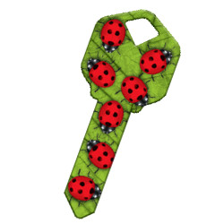 KeysRCool - Buy Ladybugs Happy House Keys KW1 & SC1
