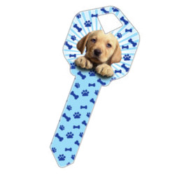 KeysRCool - Buy Puppy Fun-Key House Keys KW1 & SC1