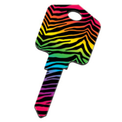 KeysRCool - Buy Kool: Rainbow Zebra key