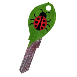 KeysRCool - Buy Ladybug House Keys KW & SC1