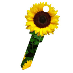 KeysRCool - Buy Trendy: Sunflower key