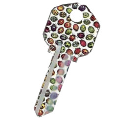KeysRCool - Buy Ladybugs Craze House Keys KW1 & SC1