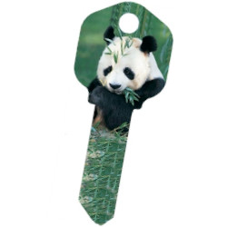KeysRCool - Buy Big Panda key