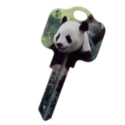 KeysRCool - Buy Panda Mug key