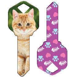 KeysRCool - Buy Happy: Orange Tabby key