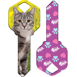 KeysRCool - Buy Happy: Silver Tabby key