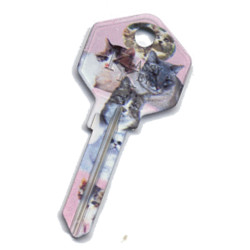 KeysRCool - Buy Cats: Klassy key