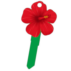 KeysRCool - Buy Trendy: Hibiscus key